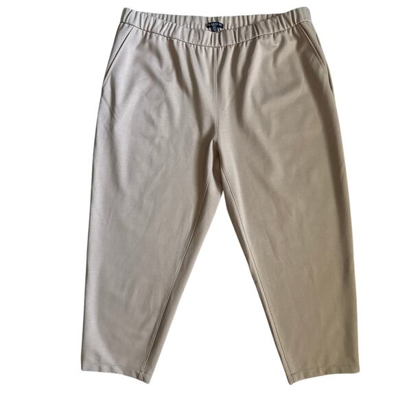 Eileen Fisher Plus Flex Tencel Ponte Slouchy Pant Beige Size 1X - Picture 2 of 10